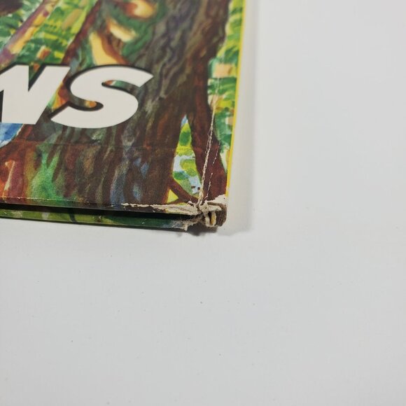 True Story Of Smokey The Bear Big Golden Book 1955 Hardcover - Picture 10 of 16